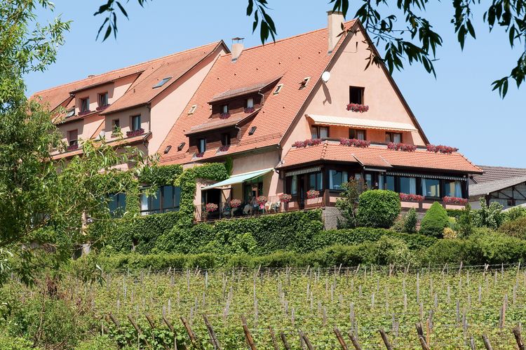 Hôtel Restaurant Au Riesling  17