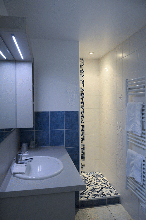 Toutes nos chambres standards équipées d'une salle de douche privée