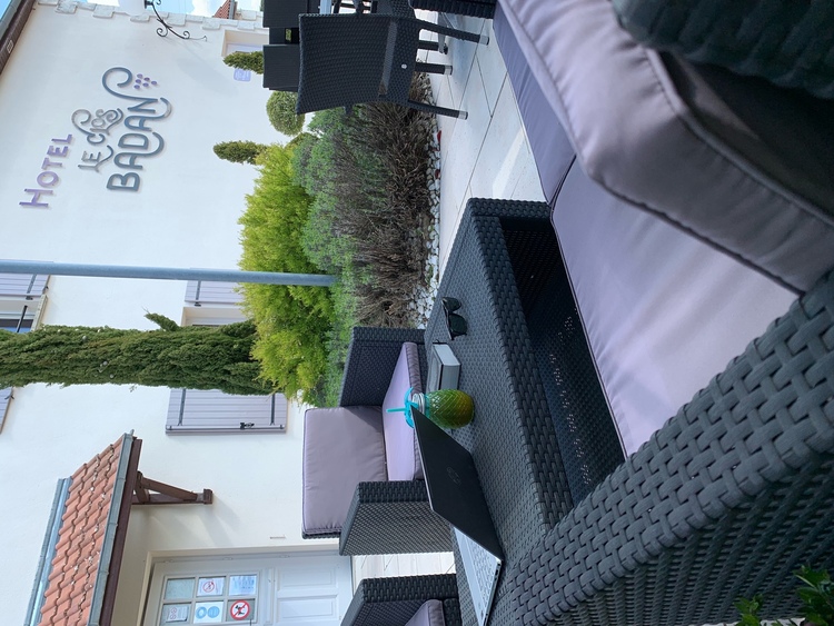 Hôtel Le Clos Badan  9