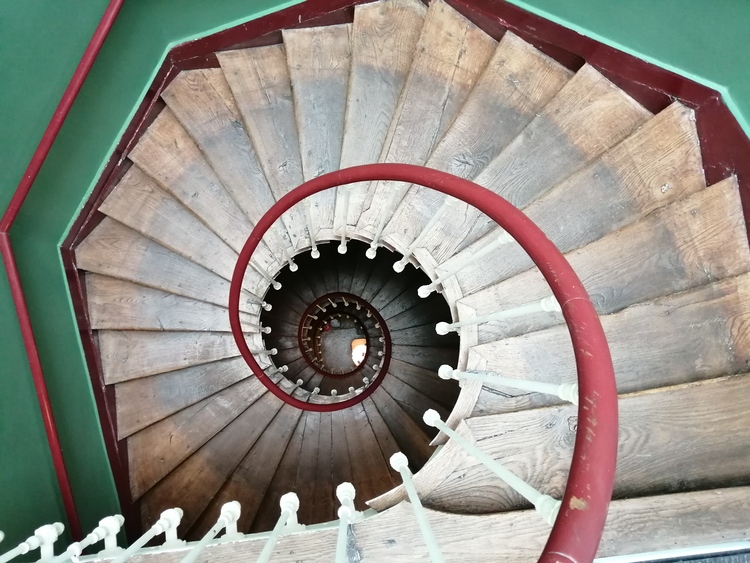 Hôtel du Cygne  7