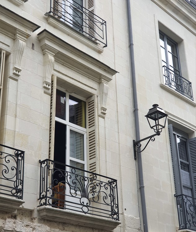 Hôtel du Cygne  19