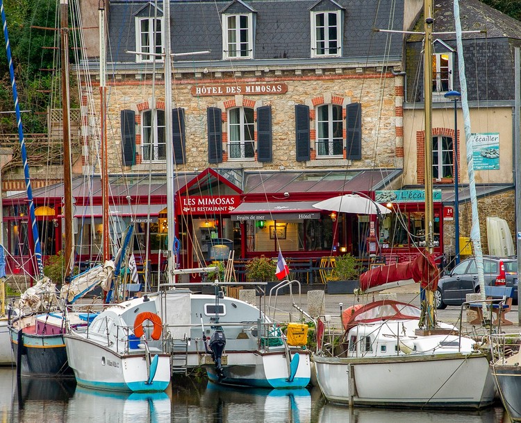 Les Mimosas  1