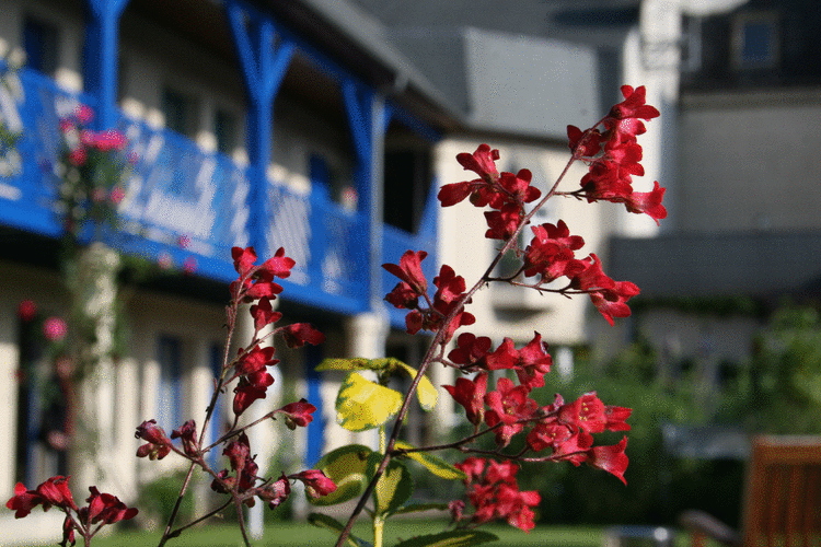 Hôtel Le Capricorne 1